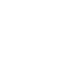 DFINITY Foundation
